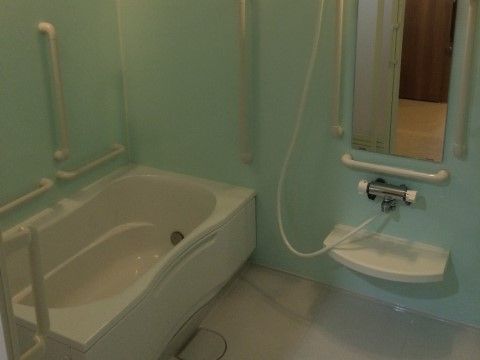 壁に手すりが複数設置され、浴槽の横にシャワーと鏡を備えたシンプルな浴室