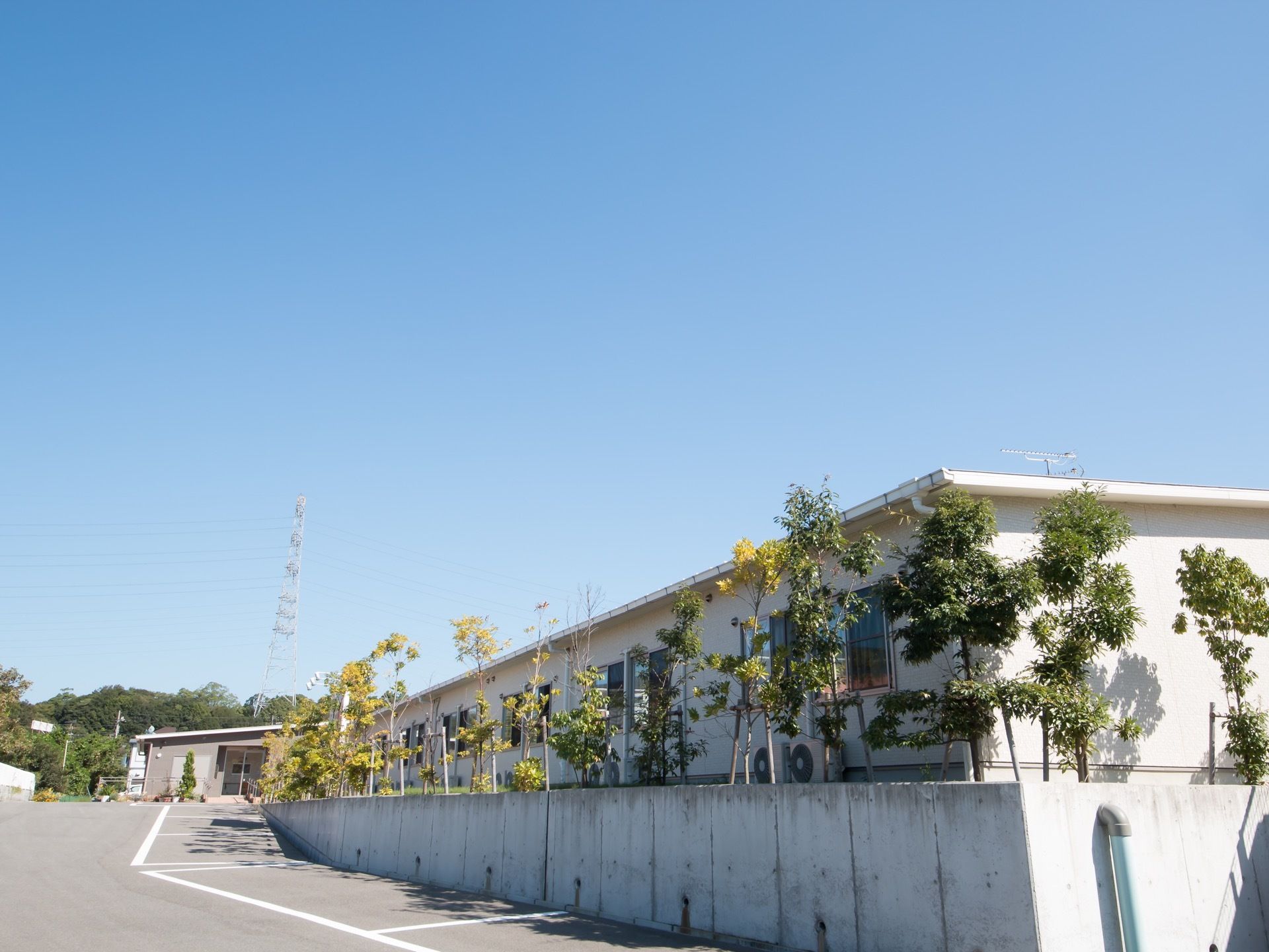 施設の建物の外周には植栽がある。入居者様の居室から眺めることができ、四季の移ろいを感じることができる。