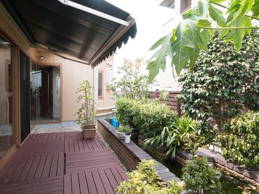屋上庭園