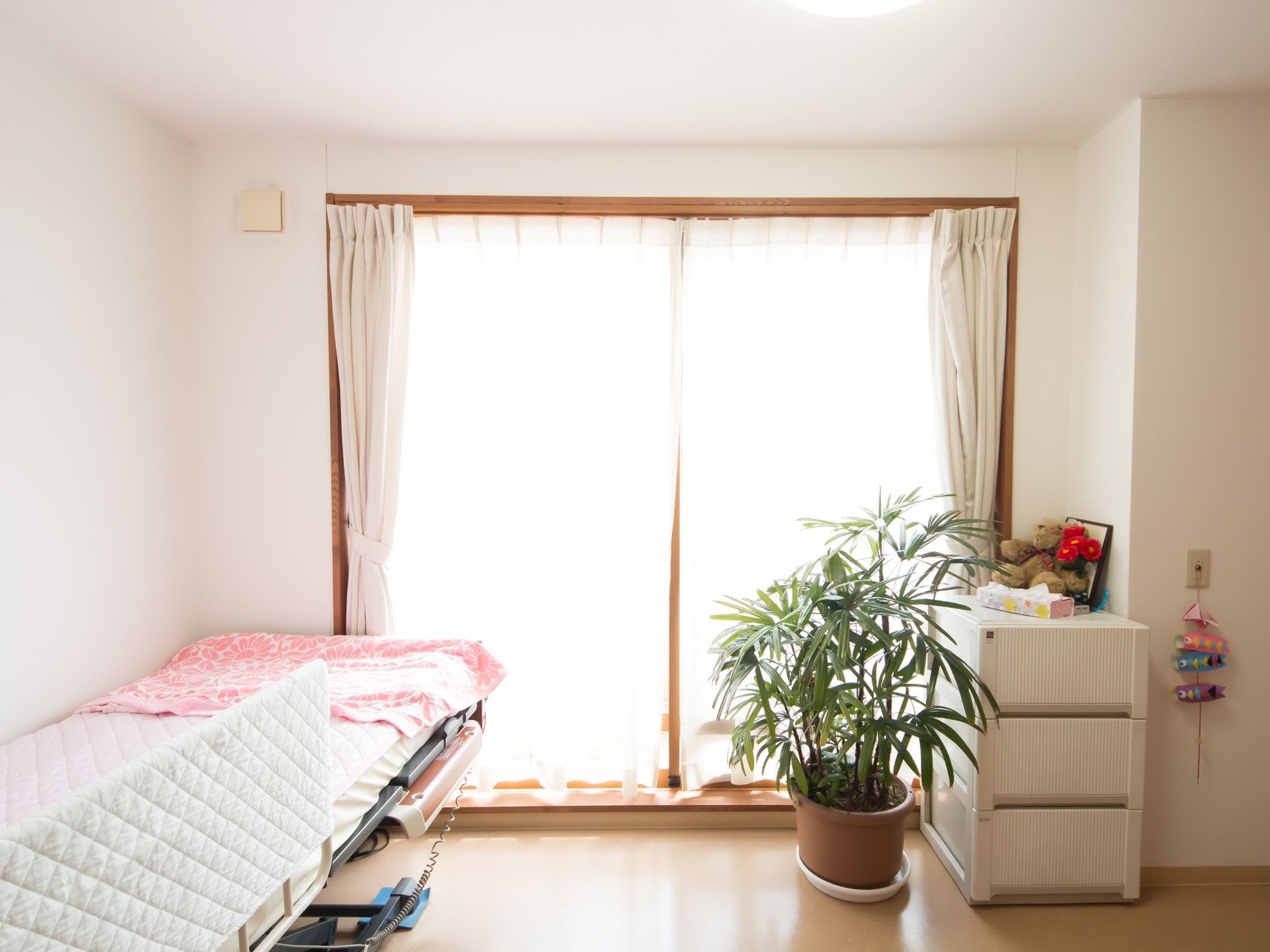 居室には大きな窓がある。壁際に電動ベッドが設置されている。窓のそばには観葉植物と、白いチェストが置かれている。