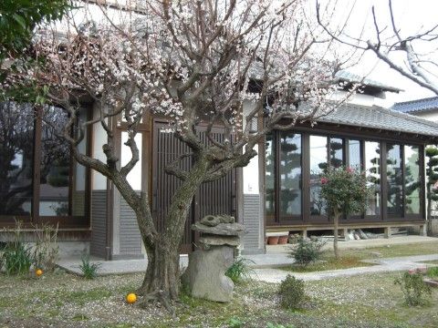 趣のある窓の多い古民家と、その前に植えられている花木