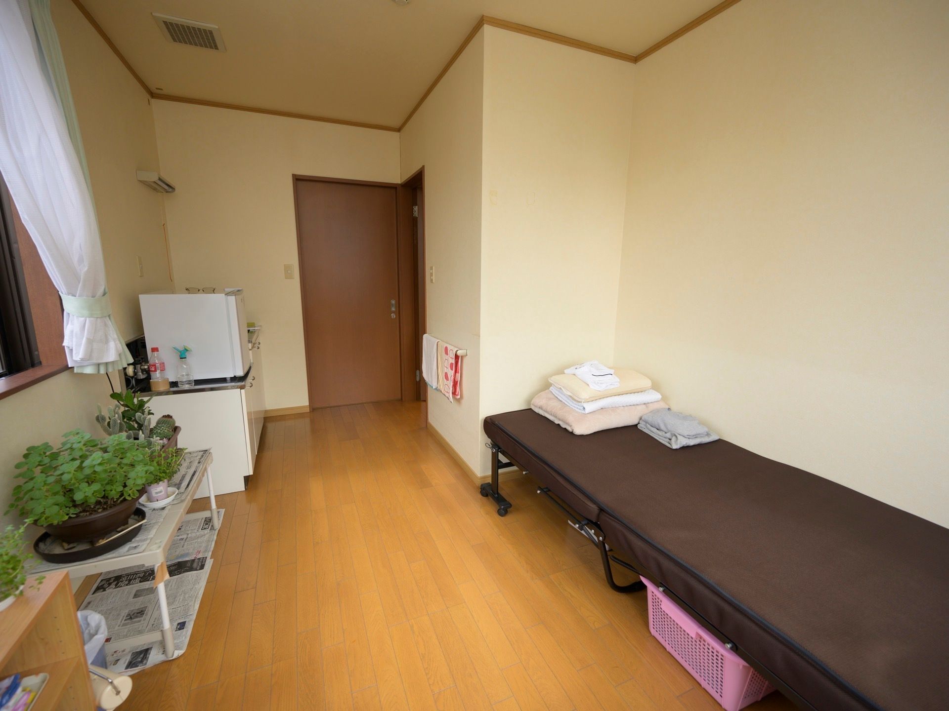 フローリングの居室があり、壁際にベッドが１台置かれている。反対側にはキッチンがあり、窓の近くには鉢植えの植物が並べられている。