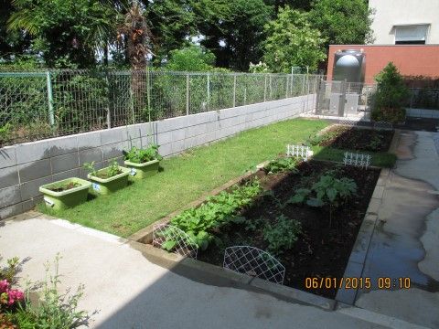 庭仕事がお得意な入居者様は、ホームの屋外の菜園でさまざまな野菜を育てている。またプランターや鉢で花を育てている。