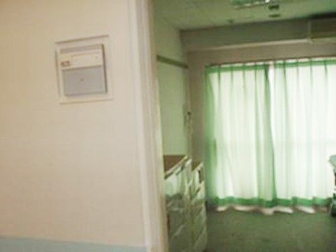 緑のカーテンがかけられた居室
