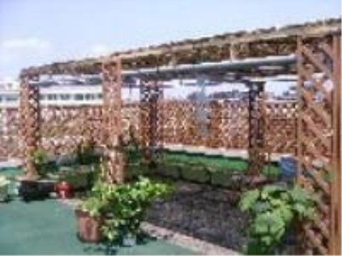 鉢植えが設置された屋上