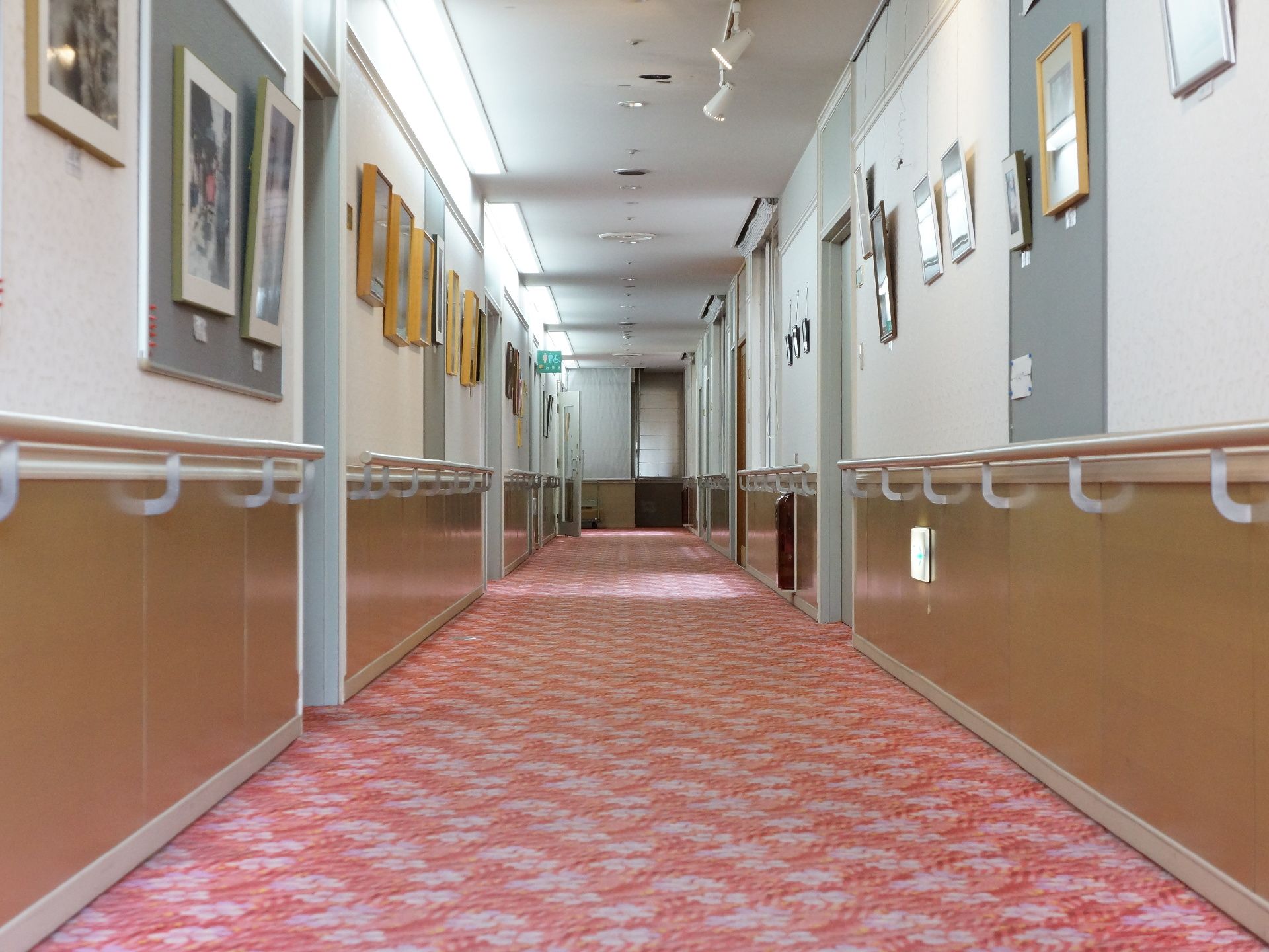 廊下の両壁に、手すりが取り付けられている。また、たくさんの絵画が展示されいて、絵画を照らすライトが天井に付いている。