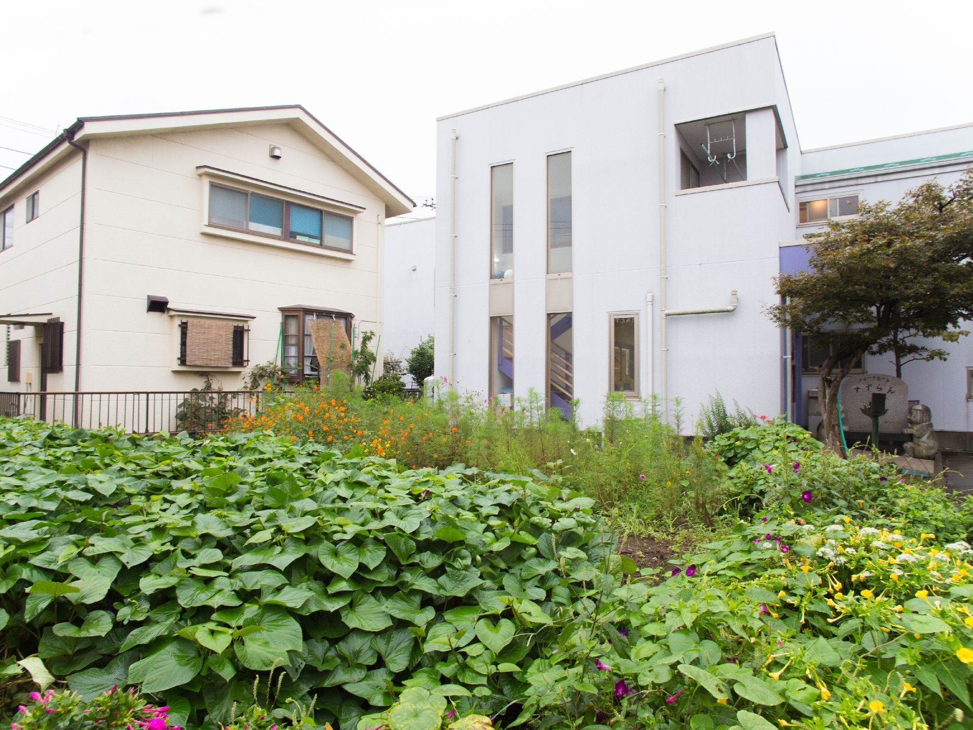 奥にはすずらんの建物がある。右奥には玄関がある。手前には様々な植物が生えている。周辺には民家が建っている。