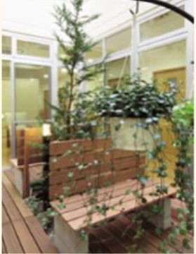 ひだまりの家の中庭。緑の中に光を感じるおしゃれな空間で優雅なひとときをお過ごしください。