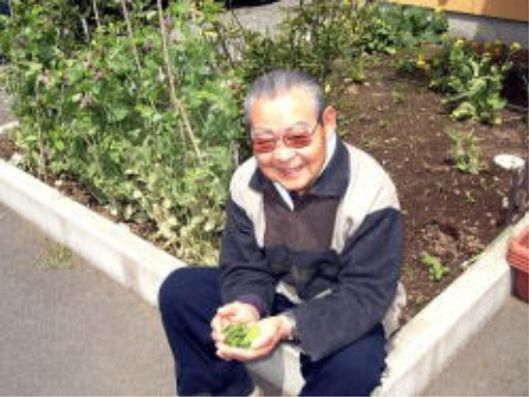 菜園