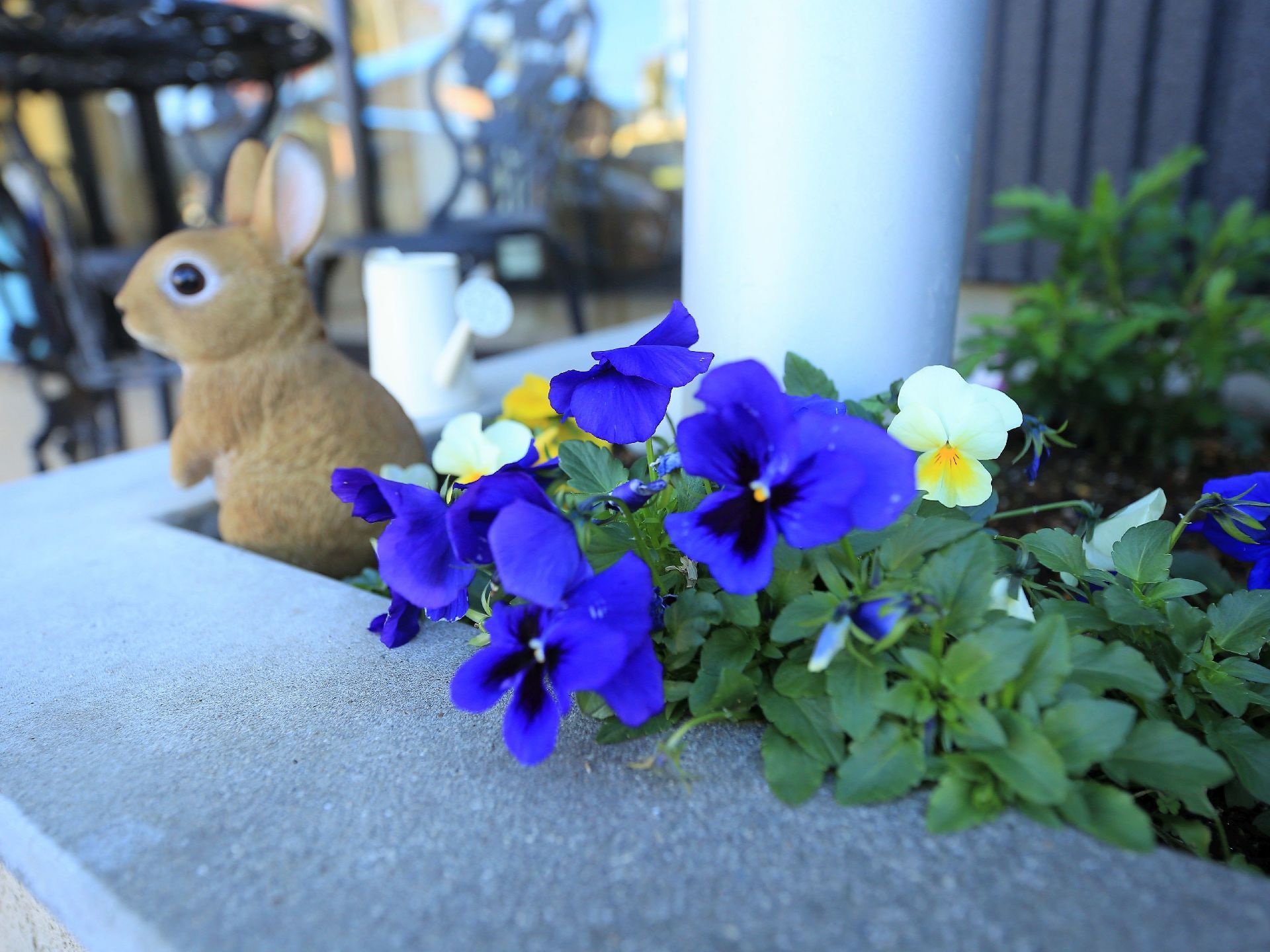 ブロックで花壇が造られており、青いパンジーが咲いている。花壇の隅には、かわいらしい茶色のウサギの置物がある。