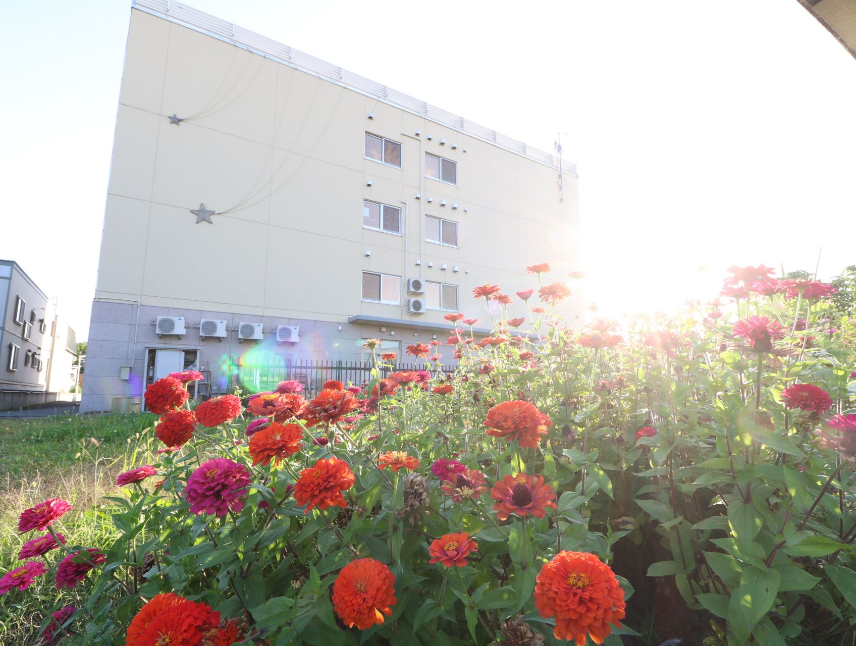 色とりどりの花が植えられていて、楽しく散策できる敷地内の庭