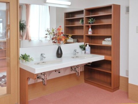 大小様々なグリーンが置かれた洗面台である。消毒用のアルコールが備わっており、右側には棚が設けられている。