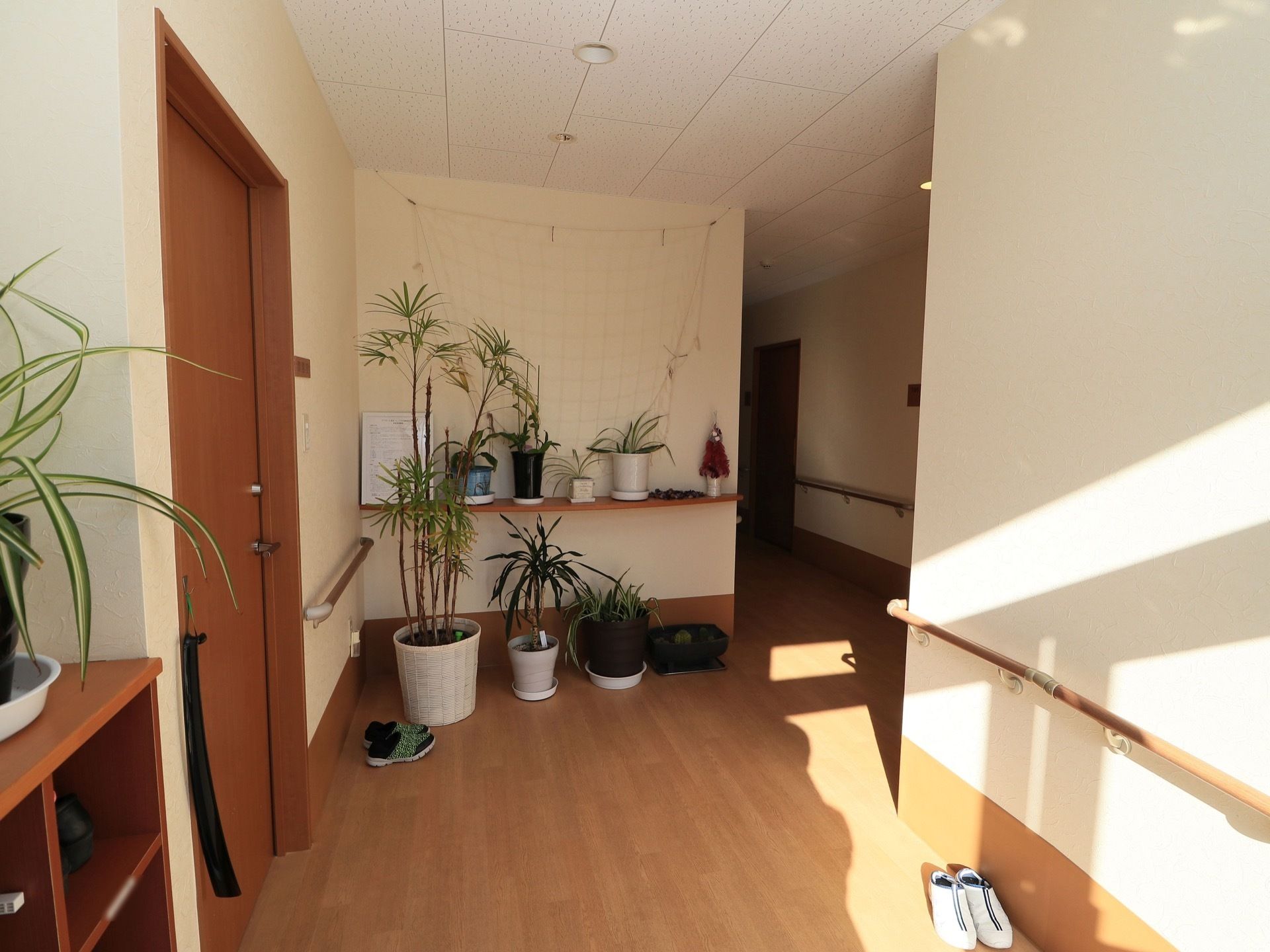 廊下の壁の必要な場所には、木製の手すりを設置している。入居者様は施設内を安全に通行することが可能である。