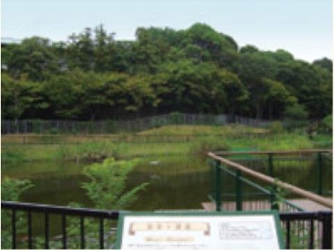 施設周辺には散歩コースで人気な遺跡がある。豊かな自然と環境でゆったりとした時間を過ごせ、気分転換にもなる。