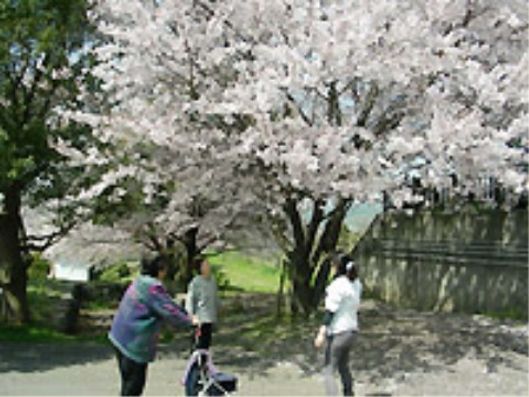 レクリエーション