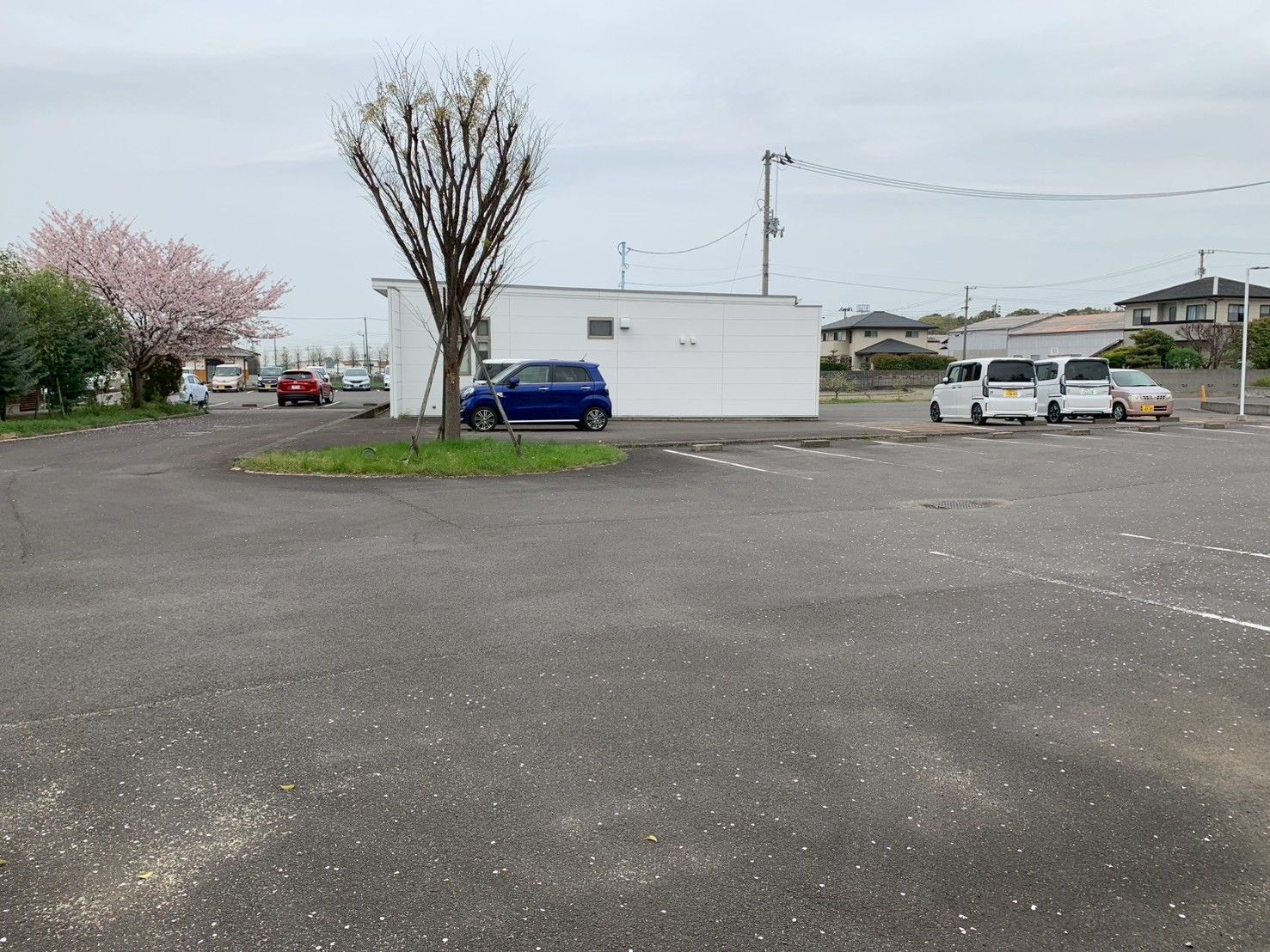 広い駐車場と建物