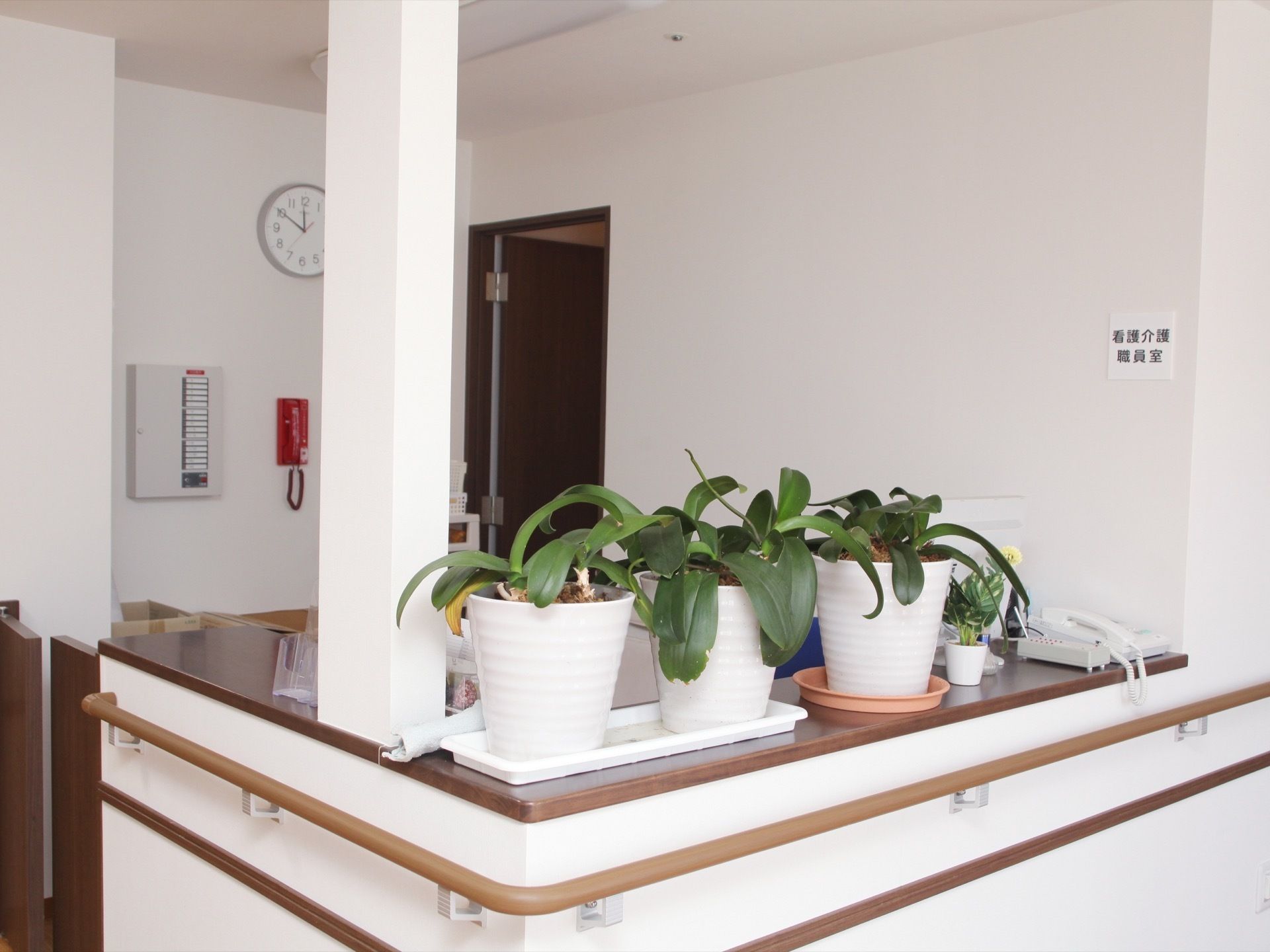 カウンターテーブルには観葉植物が置かれており、落ち着いた空間となっている。壁面には手すりがあり、歩行を補助している。