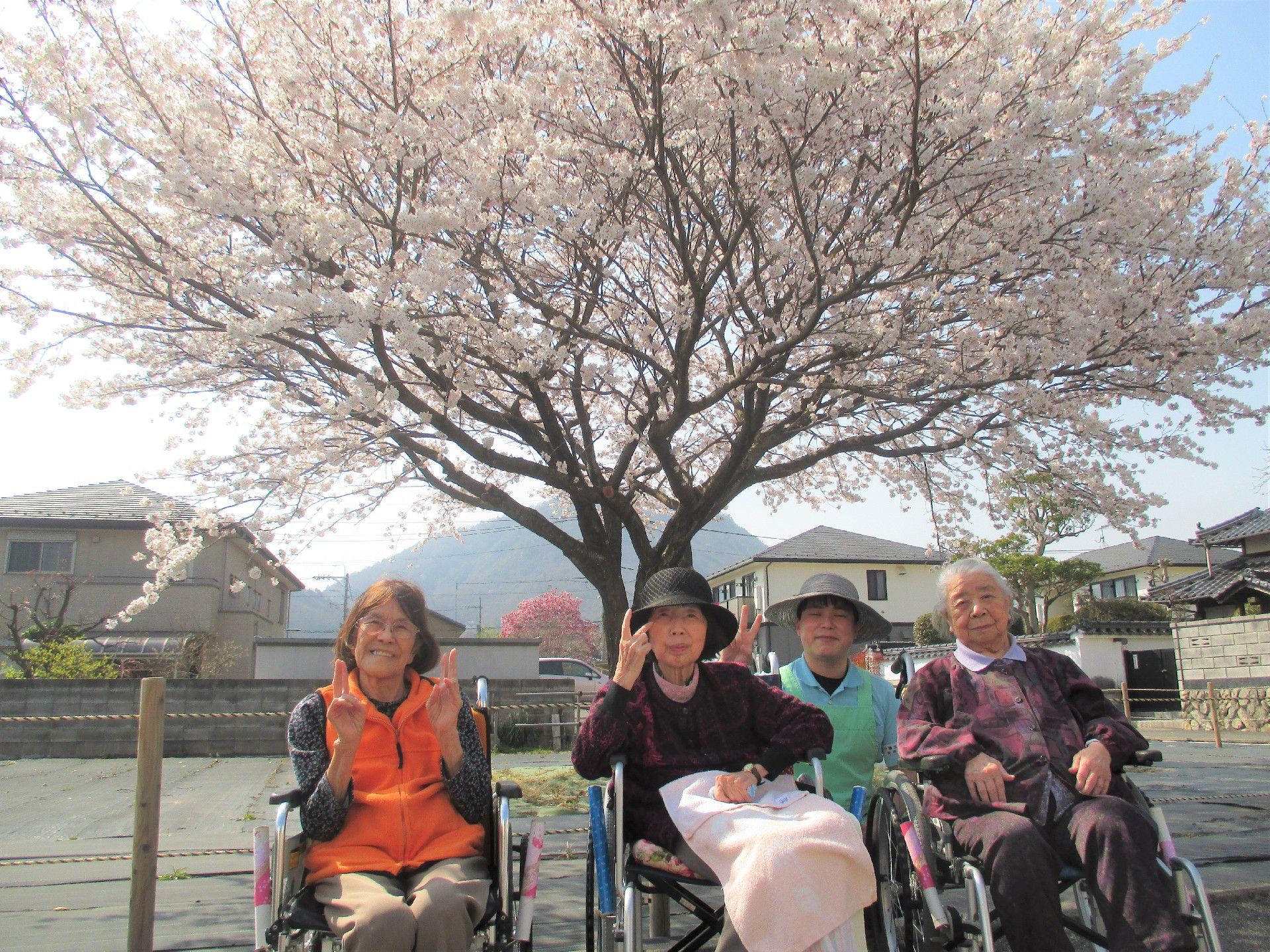 満開の桜の前に並び、笑顔で写る３人の女性入居者様とスタッフ