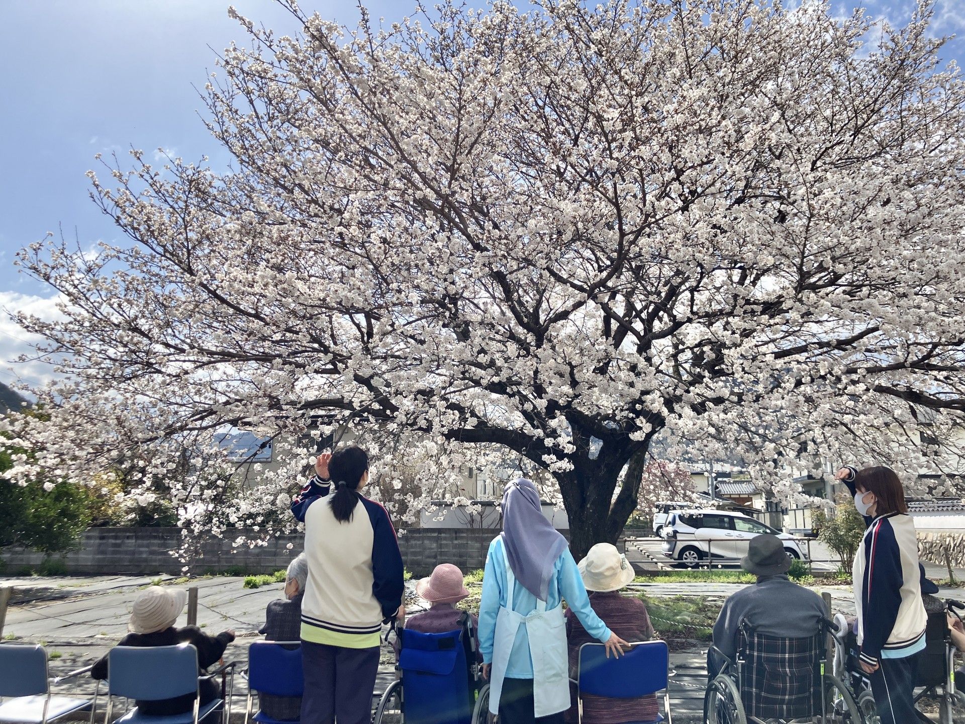 満開の桜の前に並び、笑顔で写る３人の女性入居者様とスタッフ
