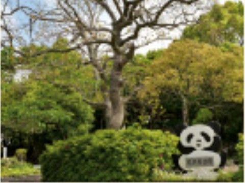 施設近辺には公園や緑地が多く点在している。お散歩や森林浴にでかけて、気分をリフレッシュしていただける。
