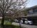 桜並木のある建物前