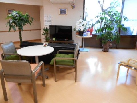 奥に大きな窓があり、日光がよく入ってきている。テレビの両横には花や木が置かれており、テーブルやソファが設置されている。