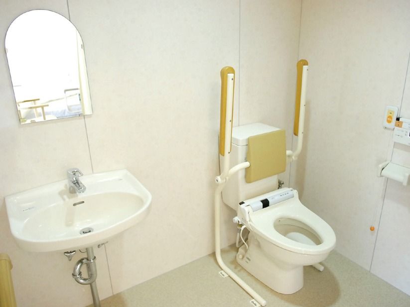 右側には便器がある。そこには背もたれとひじ掛けが付いており、1人でも使いやすいようになっている。左側には洗面台がある。