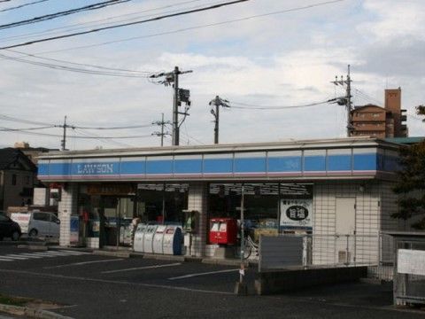 駐車場を併設したコンビニエンスストアで、日用品を購入することができる。郵便ポストと公衆電話が設置されている。