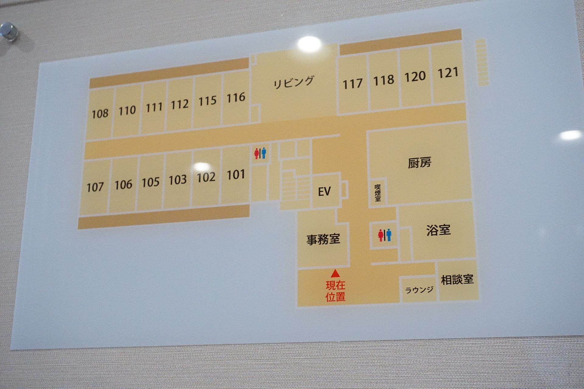 施施設内の情報が記載されている地図