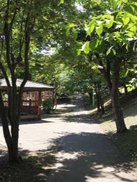 「敬老園 札幌」の周辺環境。お散歩や息抜ける場所となっている。