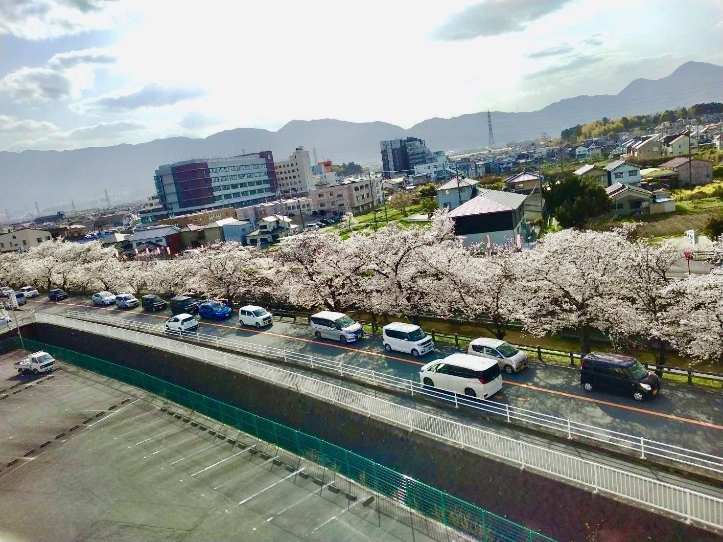 屋外に出た車椅子や歩行器を利用する入居者様をサポートするスタッフ