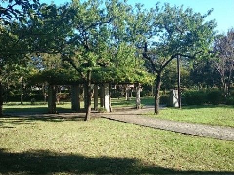 心をリフレッシュできる、自然豊かな場所。周辺を散策したり、木陰で一休みするなど、のんびりと１日を過ごしていただける。