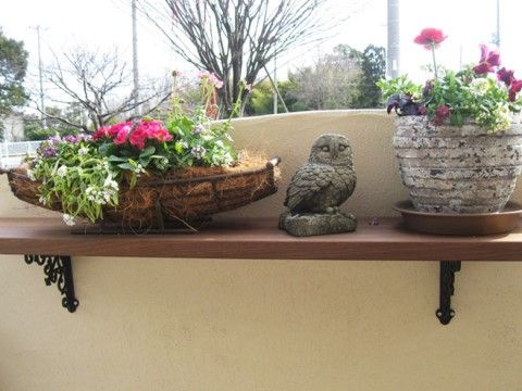 色とりどりの花々が植えられているプランターとふくろうの置物