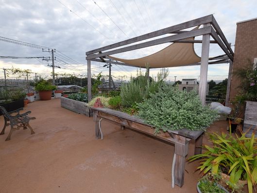 広くて過ごしやすい屋上