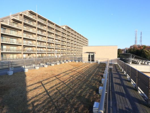 広々とした屋上庭園