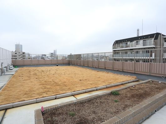 景色のいい屋上