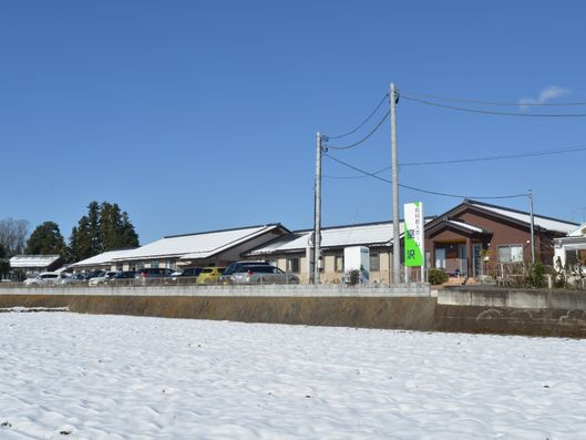 自然の中での散歩