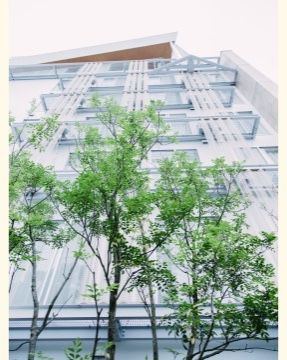 大きな木々の向こう側に見える施設を下から撮影した様子