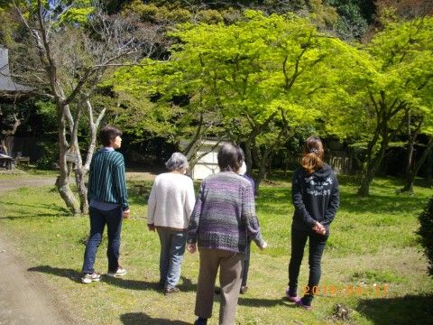 鮮やかな緑色の葉がついた木々の下を散策している入居者様たちとスタッフ