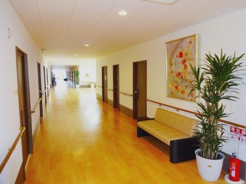 絵画が壁に飾られ、ベンチの横に観葉植物も置かれている廊下
