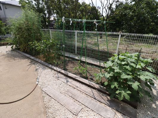 家庭菜園コーナー