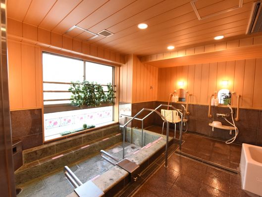 展望浴室内部の様子