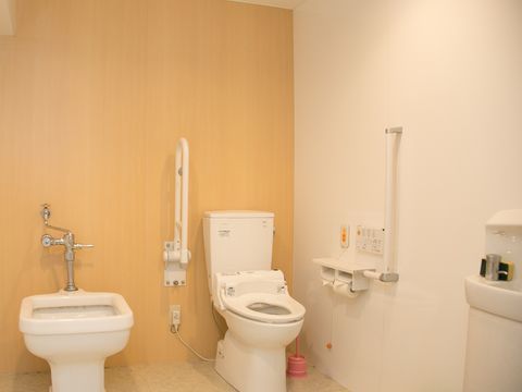 固定式や可動式の手すりが便器の両側に取り付けられているトイレ