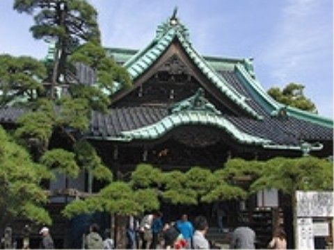施設の近くには緑が多い観光地がある。ご家族様と一緒に行って散策などを、自然に触れながら楽しむことができる。