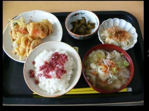 トレイに並べられた、彩り豊かなおかずや汁物があるお食事
