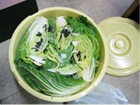 ふたがついたビニールのバケツに詰め込まれている葉物野菜