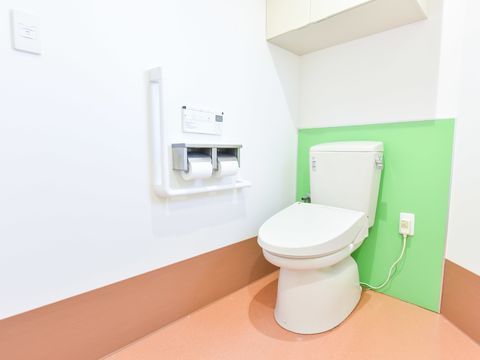 広いトイレには、車椅子のまま入ることができ、車椅子からの移動の際にはつかむことができる手すりがついている。