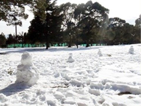 周囲に背の高い木々が茂っている広大な公園が施設の近くにある。冬の季節には雪に覆われることもあり、壮麗な光景を臨むことができる。
