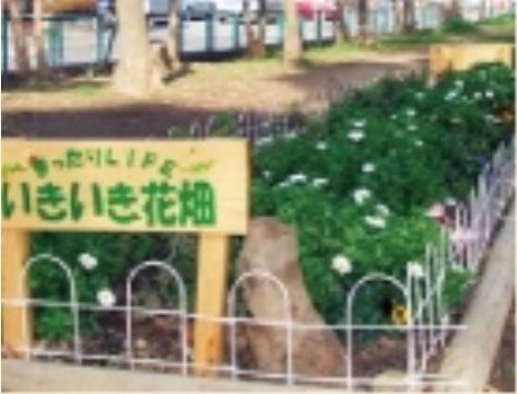 施設の近辺に位置する公園の中には、スペースで仕切られた花壇が存在する。花壇の中いっぱいに草花が生い茂る様子は、見る者の心を和ませる。