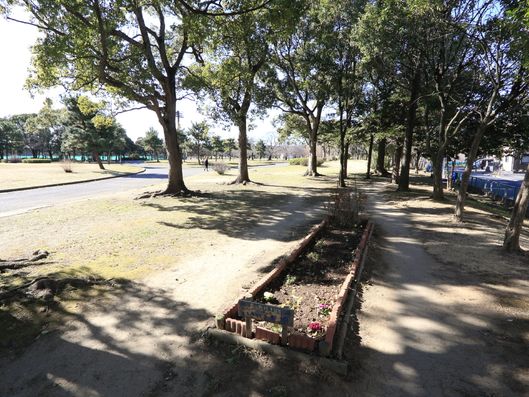 目の前に広がる公園